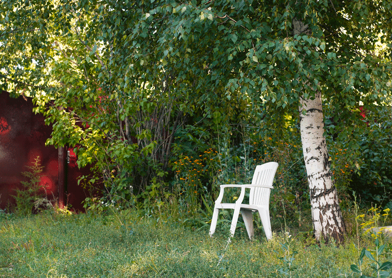 Exercice de projection - Jardin