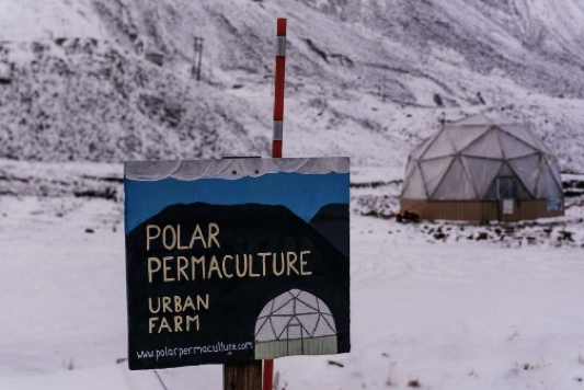 la permaculture en hiver - urban farm