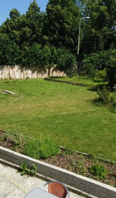 les_nuisibles_jardin_avant