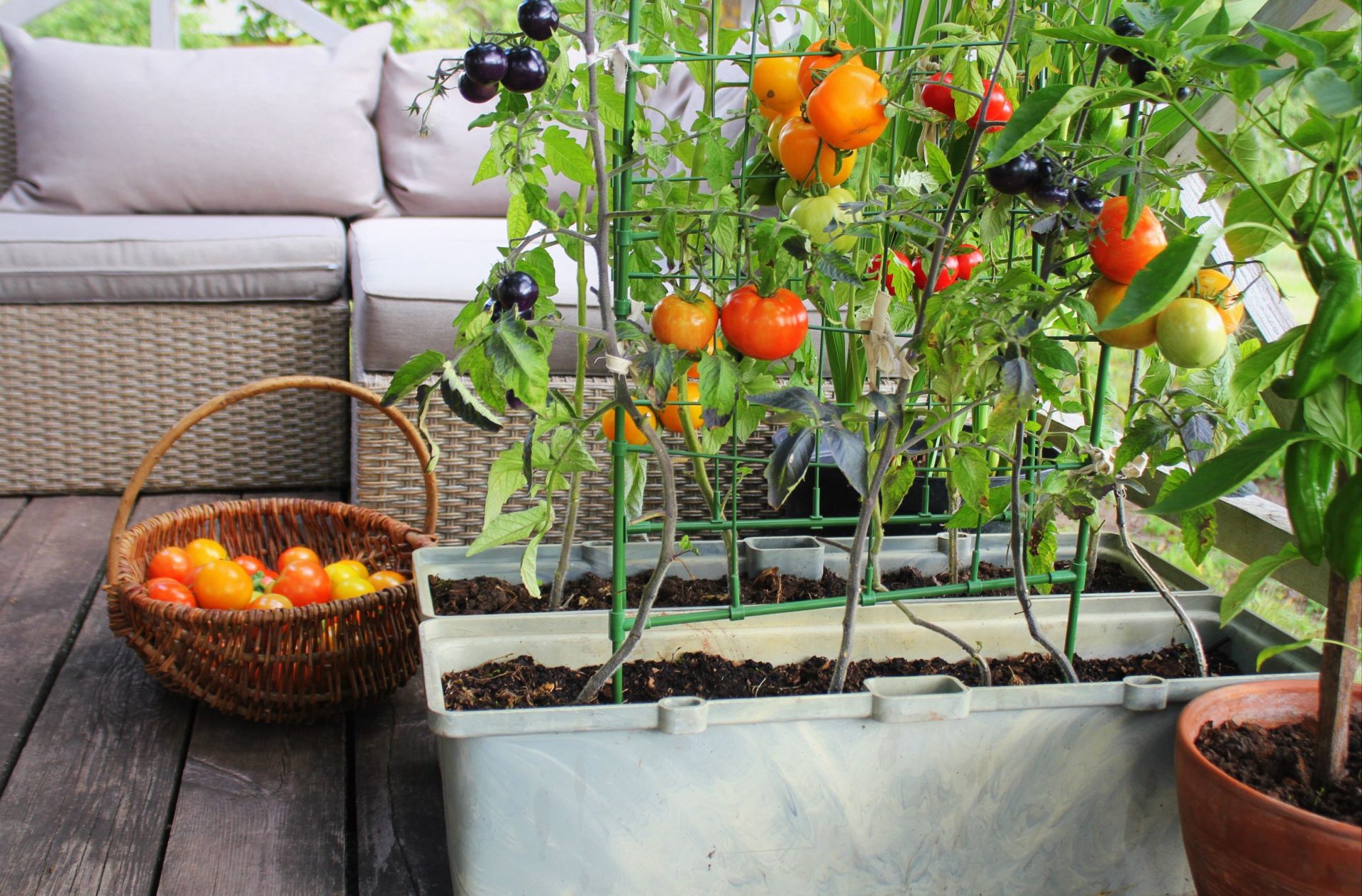 Jardin sur un balcon