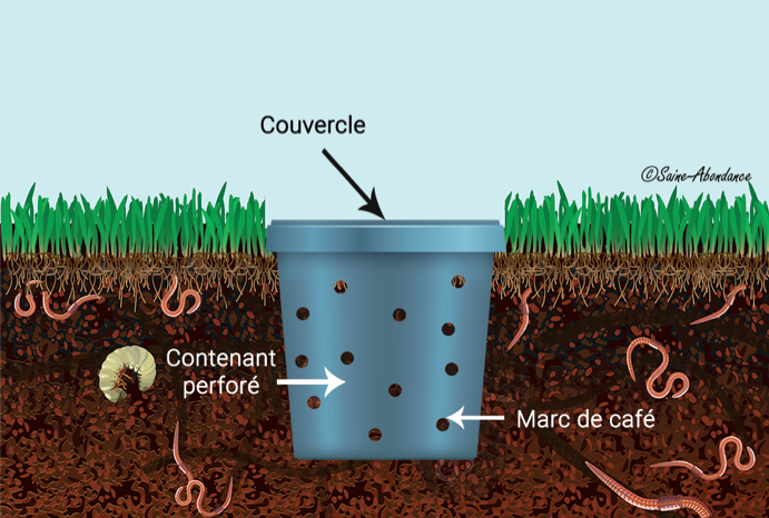 Comment Faire Pour Avoir Des Vers Dans Le Compost