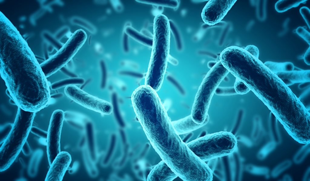 Représentation de microbes en 3d