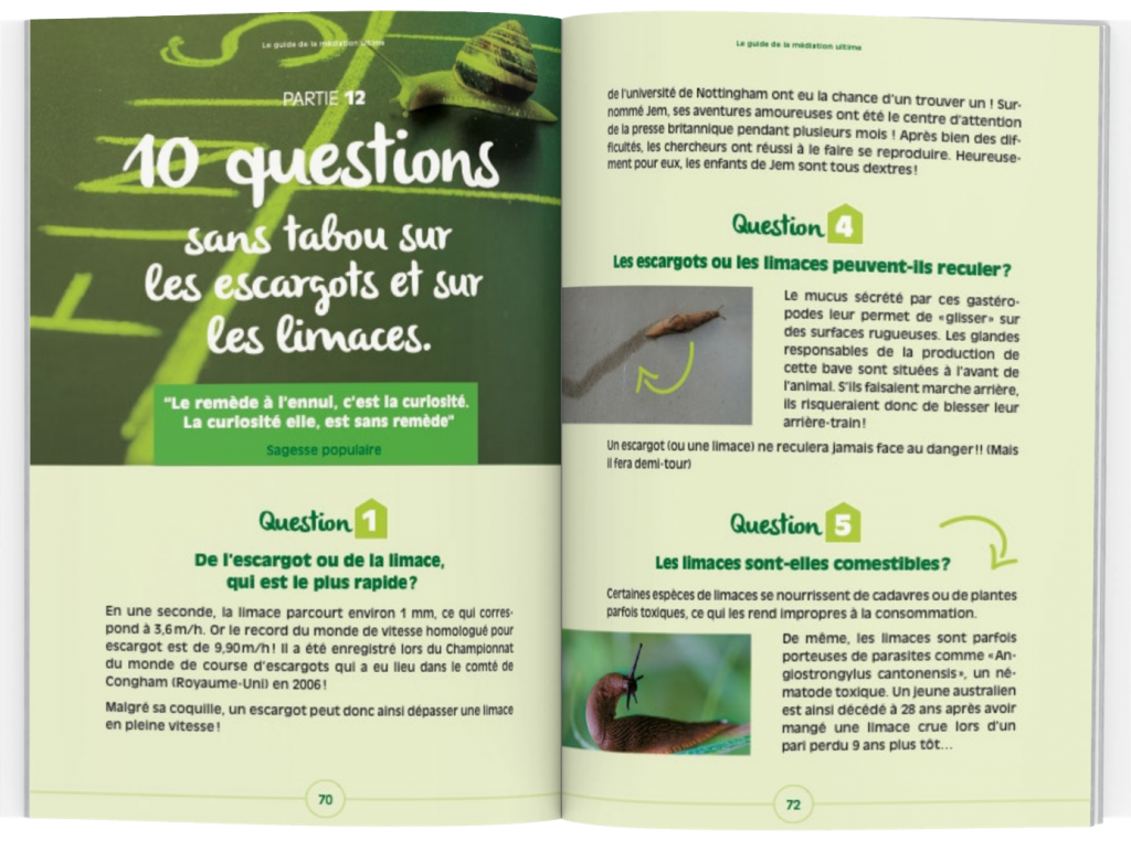 10questions